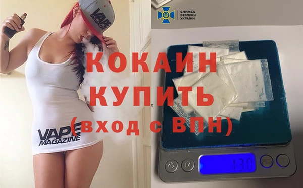 индика Дмитров