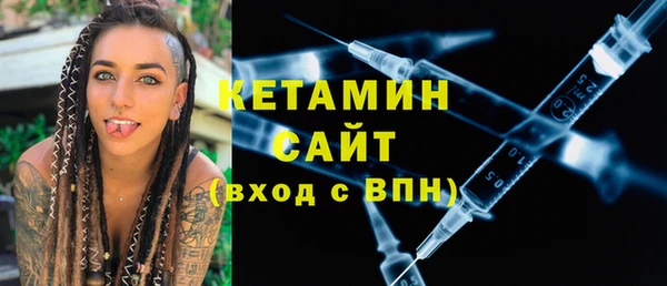 индика Дмитров