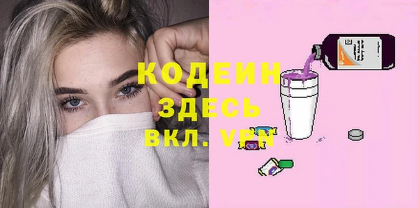 индика Дмитров