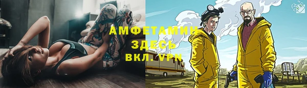индика Дмитров