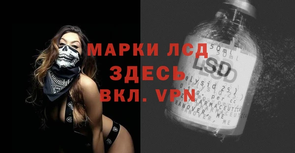 индика Дмитров