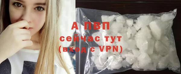 индика Дмитров