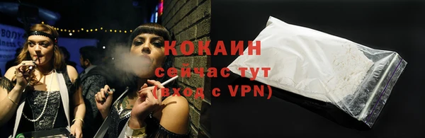 индика Дмитров