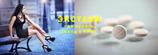 индика Дмитров
