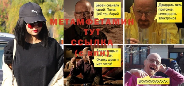 индика Дмитров