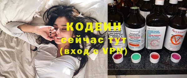 индика Дмитров