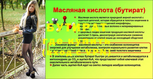 индика Дмитров