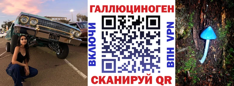 Псилоцибиновые грибы Psilocybe  Кострома 